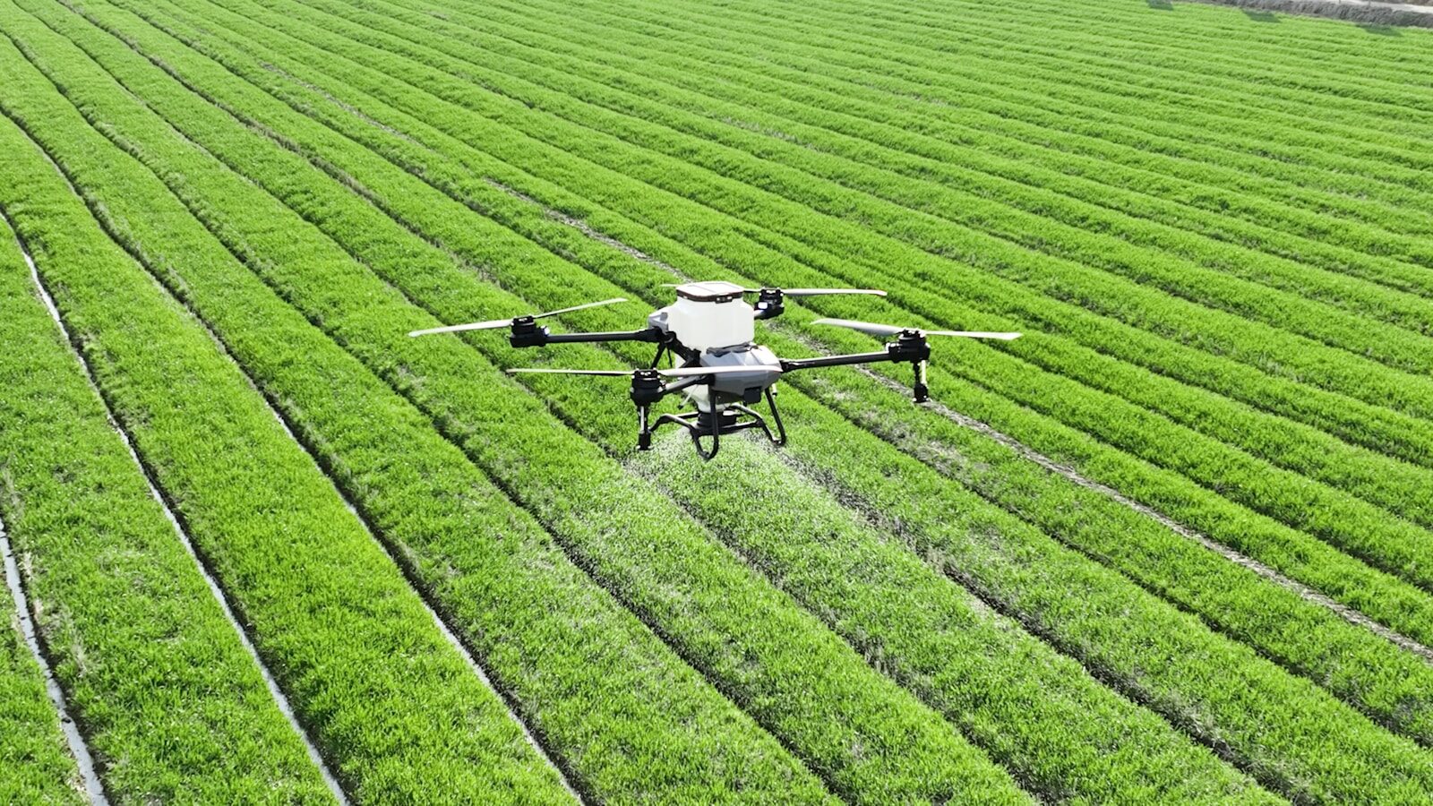 Why “Smart Agriculture” Will Transform Africa